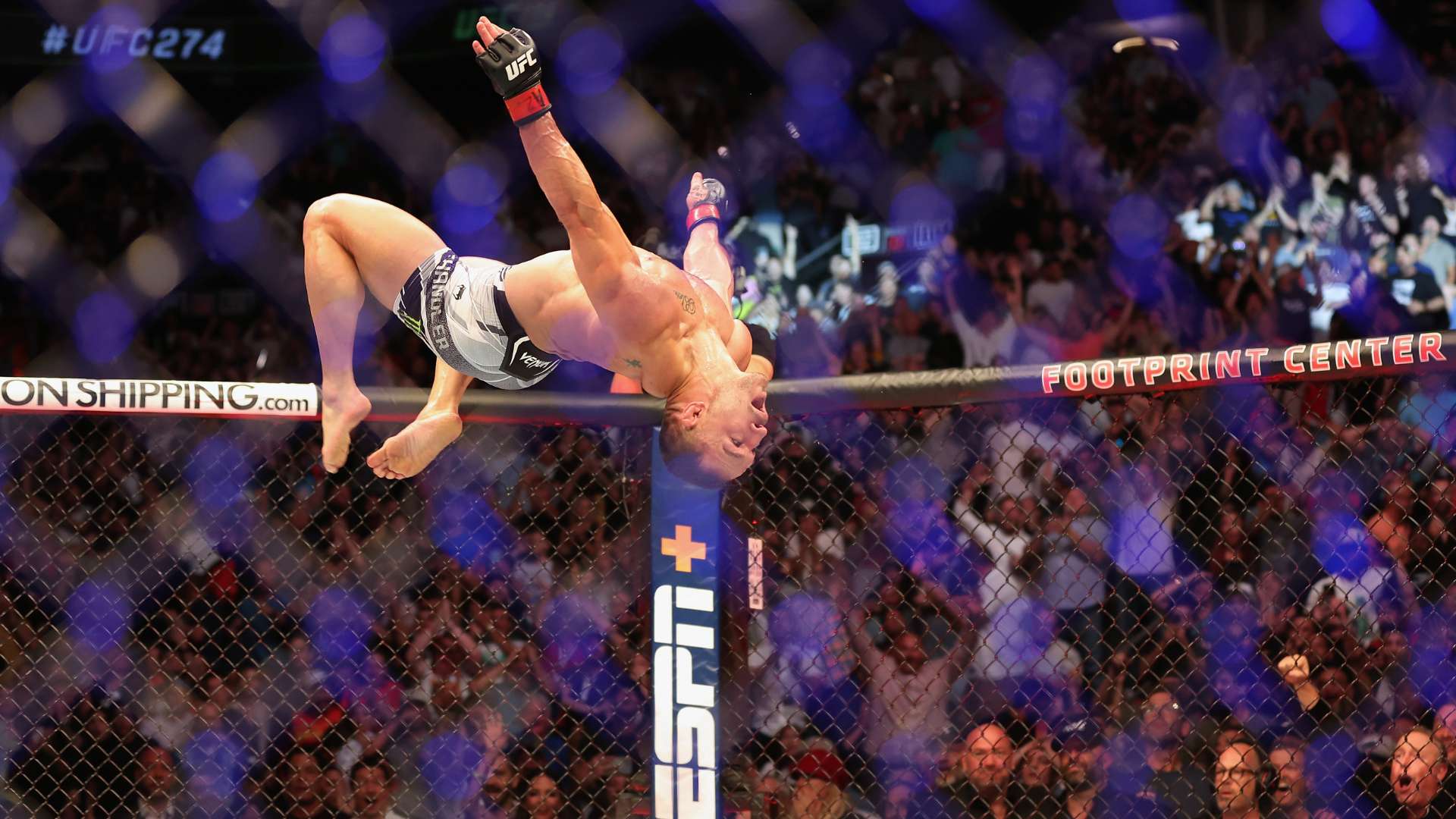 阿萊格里帶 阿萊格里帶